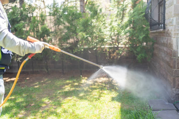 Best Wasp Removal Services  in Pine Grove Mills, PA